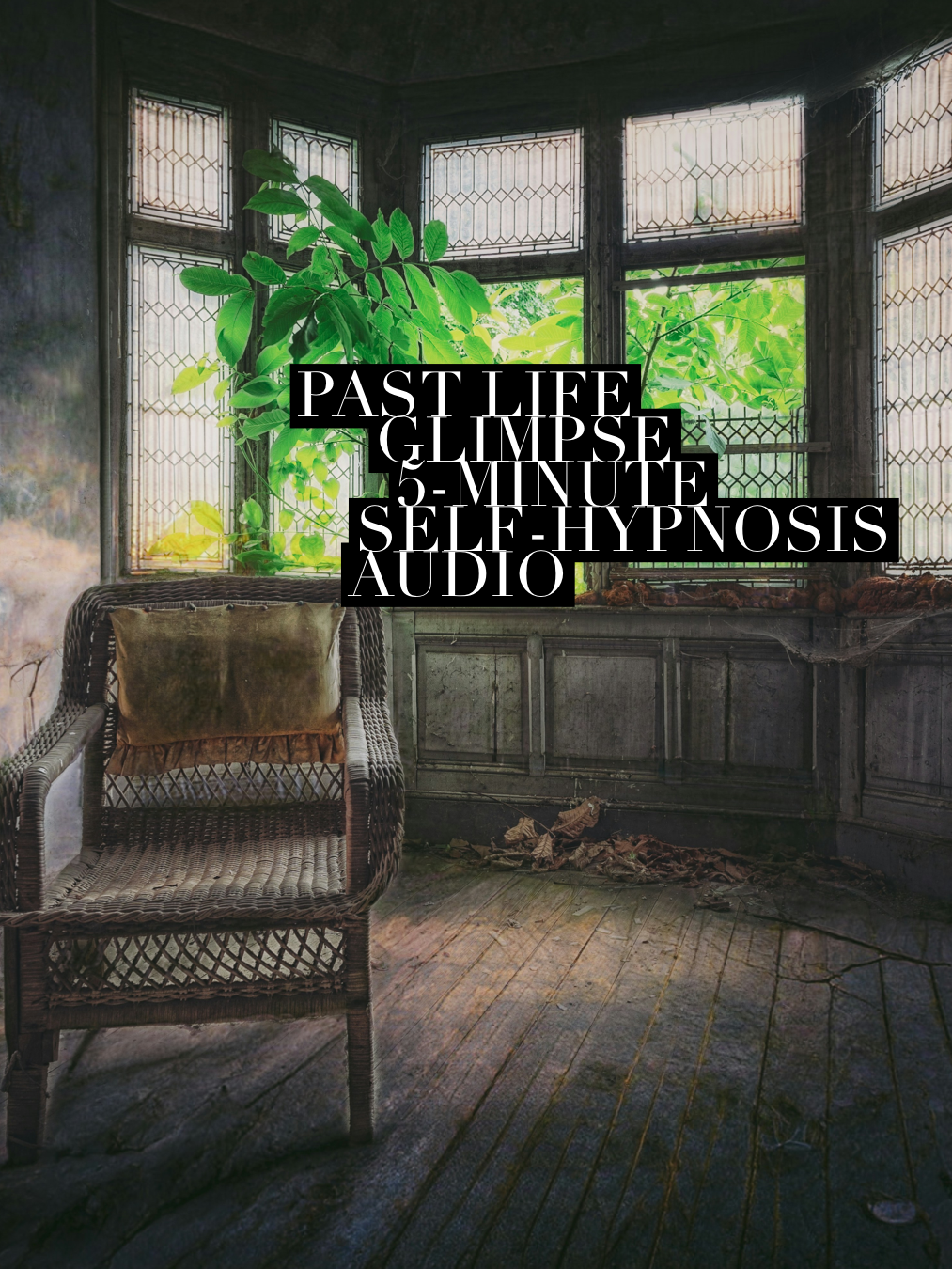 Ashylisa Hypnosis Series