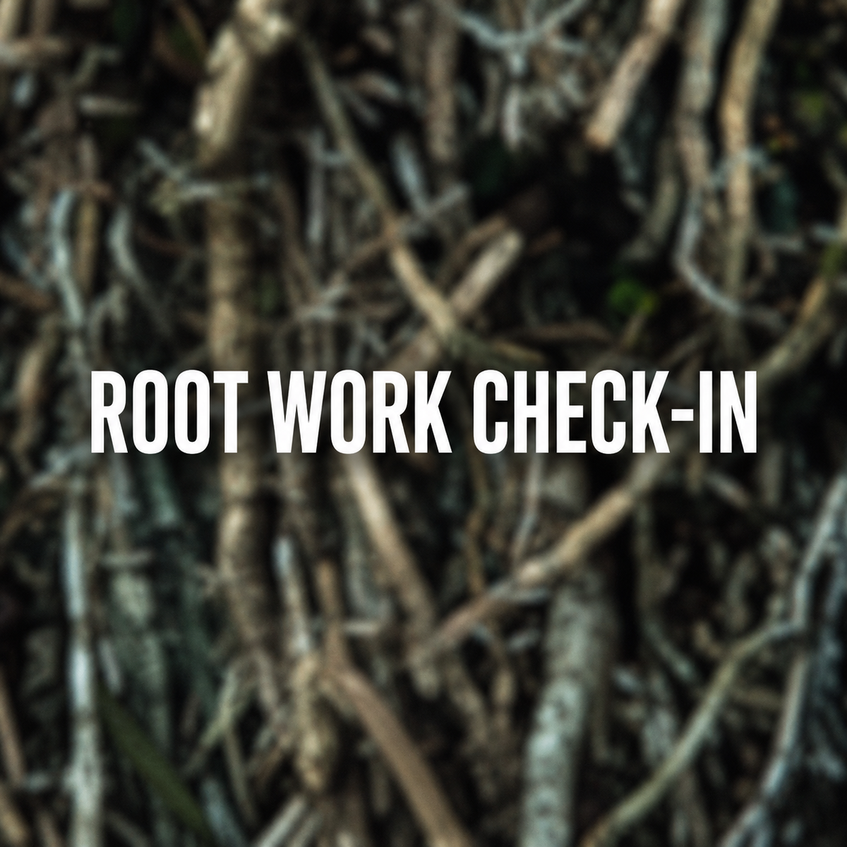 Root Work Check-In Service