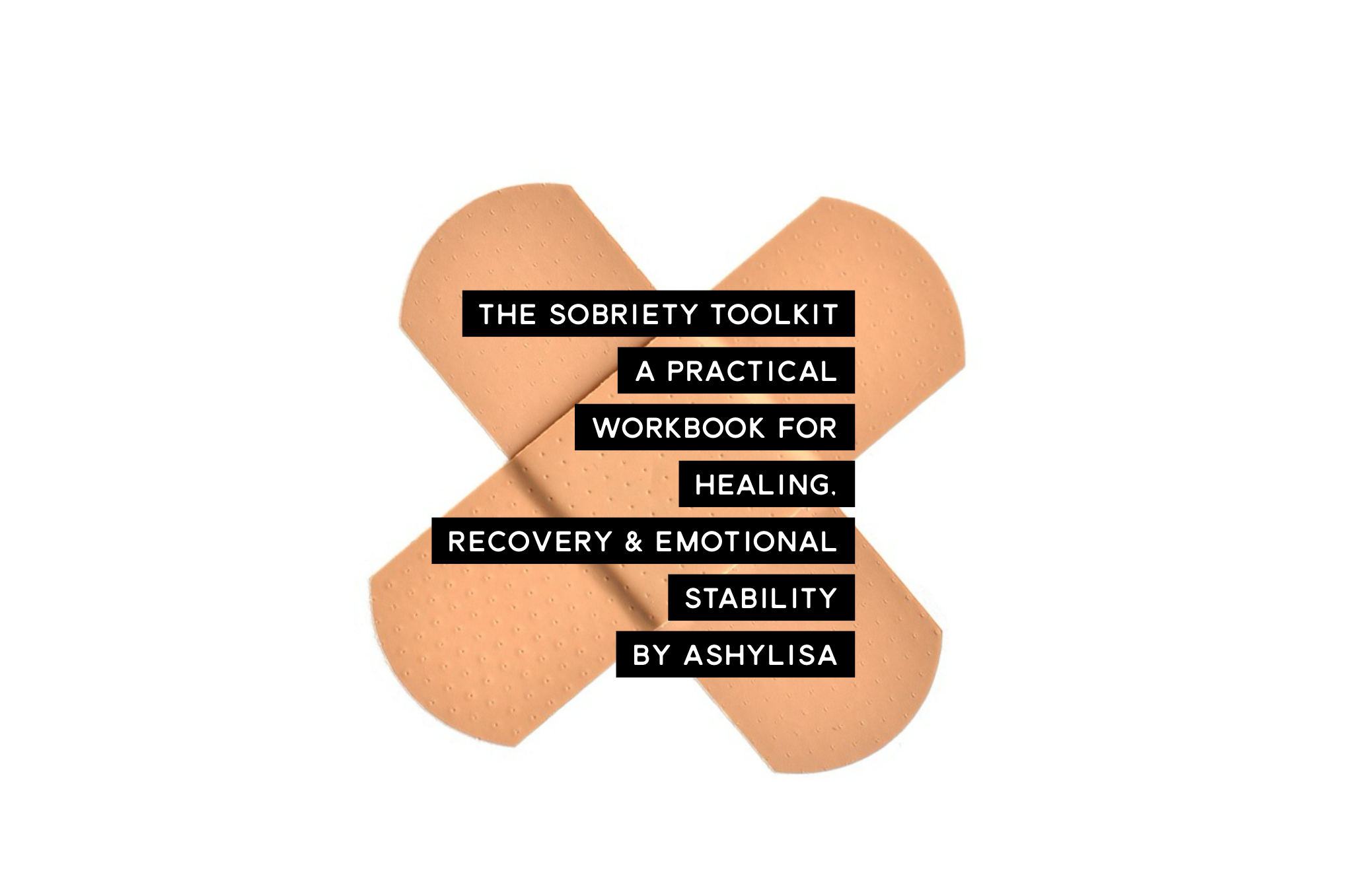 The Sobriety Toolkit: A Practical Workbook for Healing, Recovery & Emotional Stability by Ashylisa