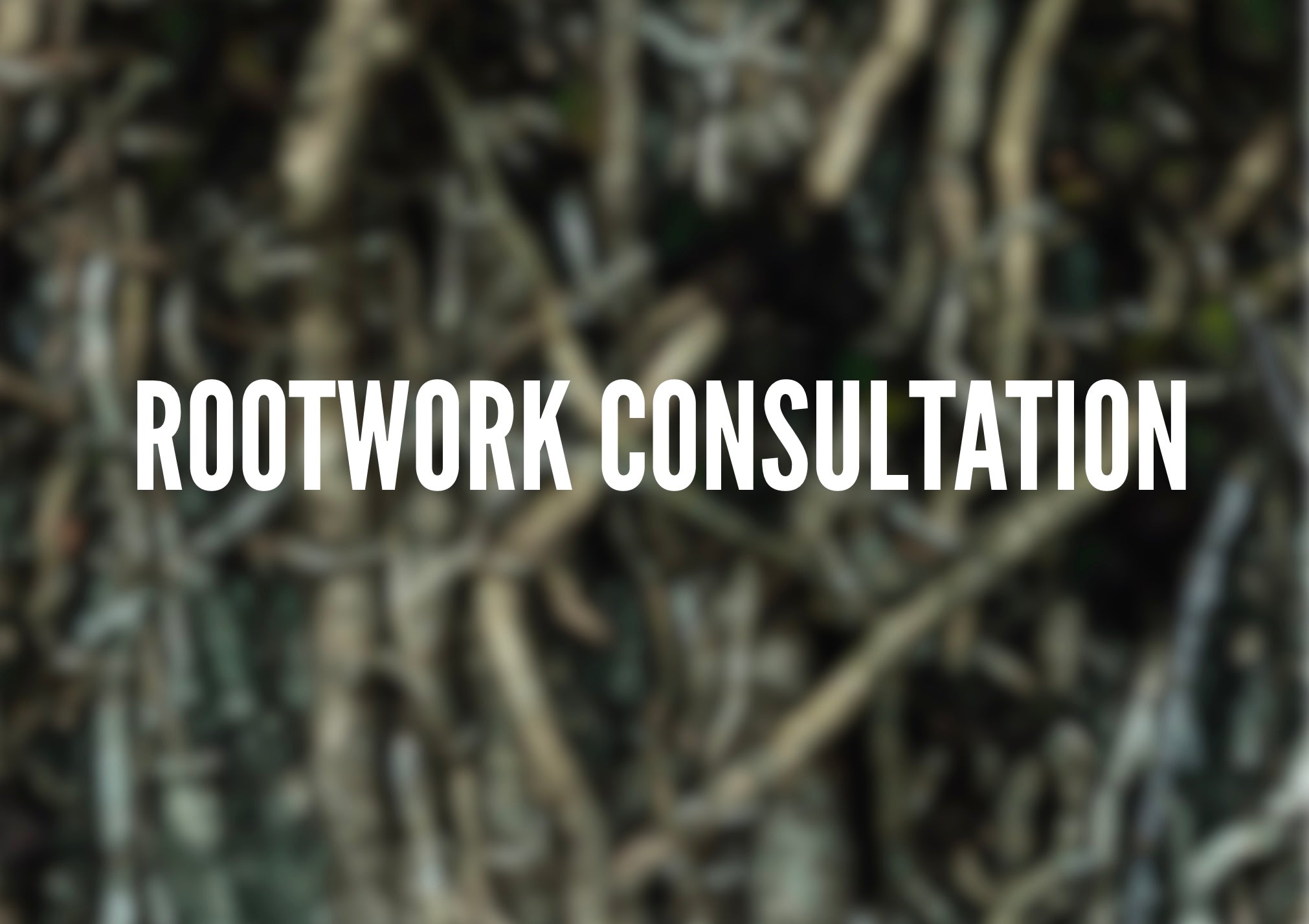 Rootwork consultation