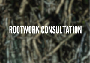 Rootwork consultation