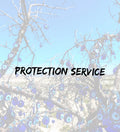 Protection service